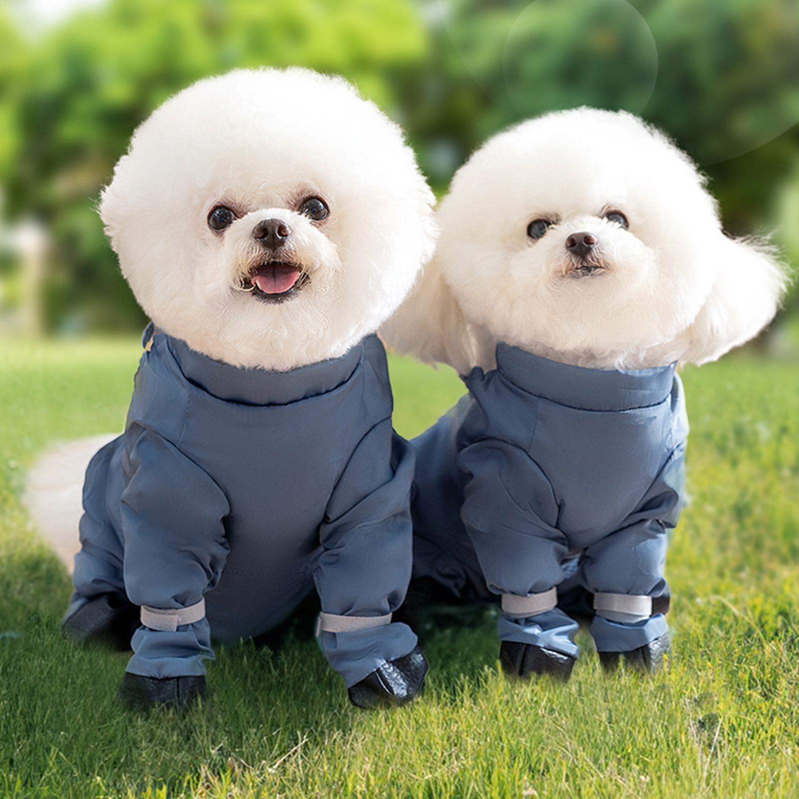 Su geçirmez Köpek Botları Askı - Women'S Shoes Hush Puppies incelemesi ve fiyatı
